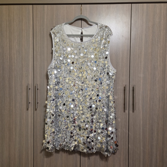 Silver Sequin Sleeveless Dress - Picture 1 of 7